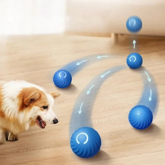 Smart Pet Ball